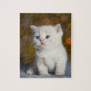Nieuwsgierig klein Kat Legpuzzel