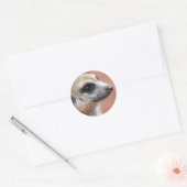 Nieuwsgierig Meerkat Sticker (Envelop)