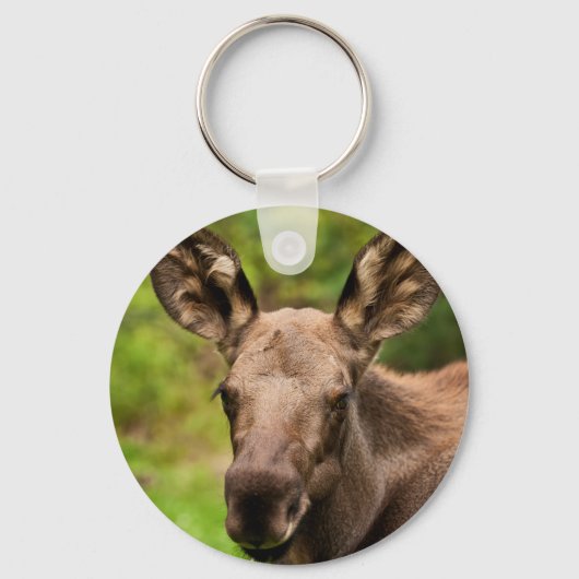 nieuwsgierig Moose Sleutelhanger (Voorkant)