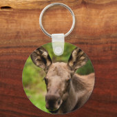nieuwsgierig Moose Sleutelhanger (Voorkant)