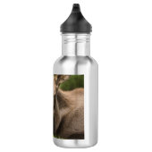 nieuwsgierig Moose Waterfles (Rechts)