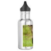 nieuwsgierig Moose Waterfles (Links)