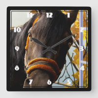 Nieuwsgierig paard dat door het keukenvenster kijk