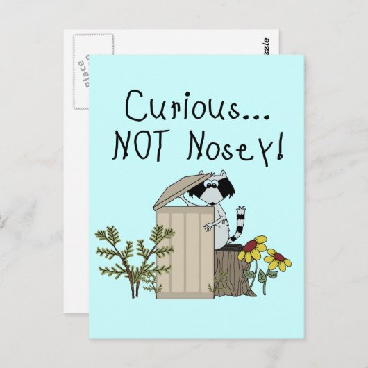 nieuwsgierig Raccoon Briefkaart (Voorkant / Achterkant)