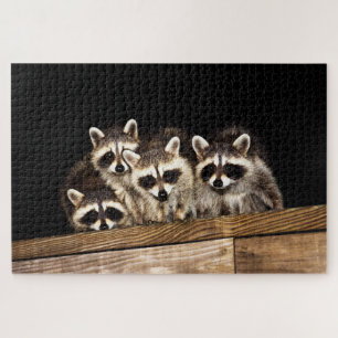 Nieuwsgierig Raccoon Familie, Jigzaag Puzzle Legpuzzel