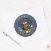 Nieuwsgierig Raccoon  Gift Stickers (Envelop)
