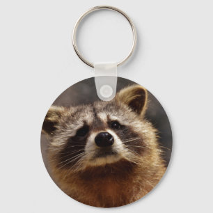nieuwsgierig Raccoon Sleutelhanger
