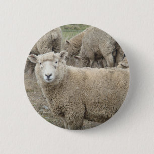 Nieuwsgierig schaap ronde button 5,7 cm