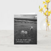 Nieuwsgierig Schaap verjaardagskaart Kaart (Gele Bloem)