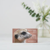 Nieuwsgierig Visitekaartje Meerkat (Staand voorkant)