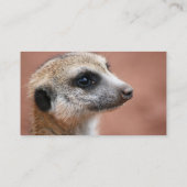 Nieuwsgierig Visitekaartje Meerkat (Achterkant)