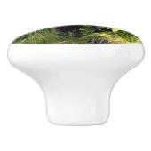 Nieuwsgierig zwart Beer Keramische Knop (Zijkant)