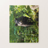 Nieuwsgierig zwart Beer Legpuzzel (Verticaal)