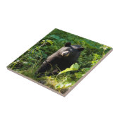 Nieuwsgierig zwart Beer Tegeltje (Zijkant)