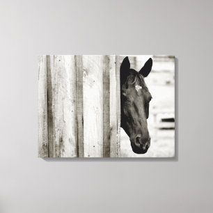 Nieuwsgierig zwart paard canvas afdruk