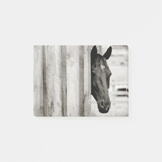 Nieuwsgierig zwart paard post-it® notes (Voorkant)