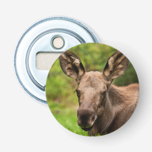 Nieuwsgierige Amerikaanse elanden Button Flesopener