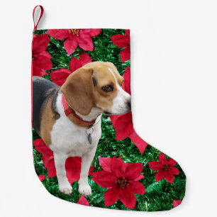 Nieuwsgierige Beagle Poinsettias kerststaart Kleine Kerstsok