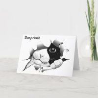 Nieuwsgierige Black and White Cat Verjaardag Verra