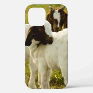 Nieuwsgierige Boer Geiten in Zonnige Weide Boerder iPhone 12 Pro Hoesje