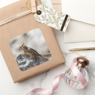 Nieuwsgierige bruine chipmunk op rots vierkante sticker