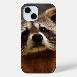 nieuwsgierige foto van Raccoon
