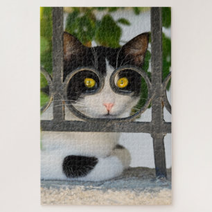Nieuwsgierige kat met brillenLijst Funny Jigzaag Legpuzzel