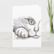 Nieuwsgierige kat potlood tekening wenskaart