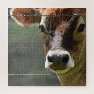 Nieuwsgierige koe die door een prikkeldraadhek kij legpuzzel