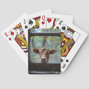 Nieuwsgierige Koe die door een raam kijkt Pokerkaarten