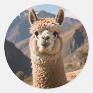 Nieuwsgierige Lama Berg Portret Ronde Sticker