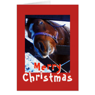 Nieuwsgierige paard kerstkaart