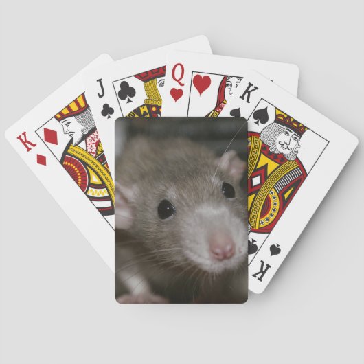 Nieuwsgierige Rat Pokerkaarten (Achterkant)