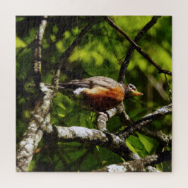 Nieuwsgierige Roodborst Legpuzzel