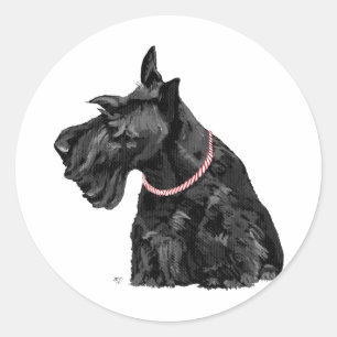 Nieuwsgierige Schotse Terrier Ronde Sticker