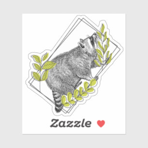 Nieuwsgierige Wasbeer en Limpgroen Loof - Gravure Sticker
