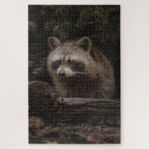 Nieuwsgierige Wasbeer In Het Bos Dier Legpuzzel