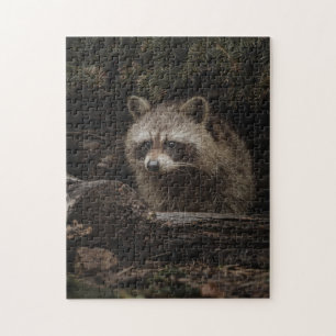 Nieuwsgierige Wasbeer In Het Bos Dieren Legpuzzel