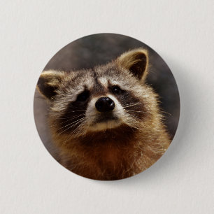 Nieuwsgierige Wasbeer Ronde Button 5,7 Cm