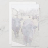 Nieuwsgierige zwarte angus briefpapier (Voorkant / Achterkant)