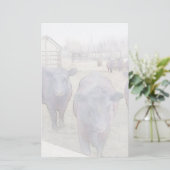 Nieuwsgierige zwarte angus briefpapier (Staand voorkant)