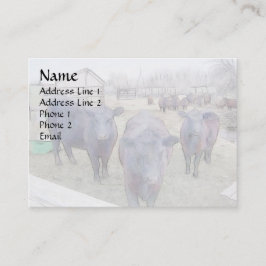 Nieuwsgierige zwarte angus visitekaartje