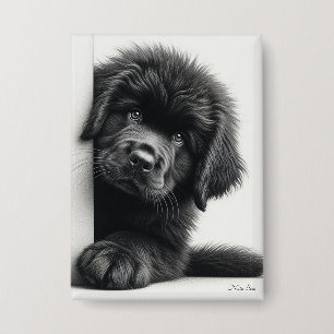 Nieuwsgierige zwarte Newfoundlander puppy gluurt Button