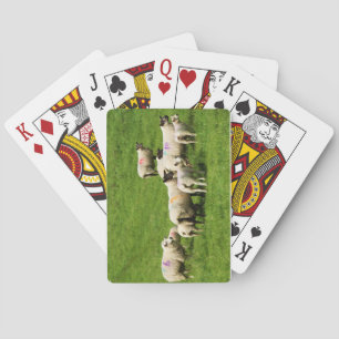 nieuwsgierigheid pokerkaarten