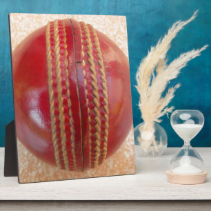 Nieuwste cricket Red Ball Fotoplaat