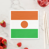 Niger Flag Servet (Insitu)