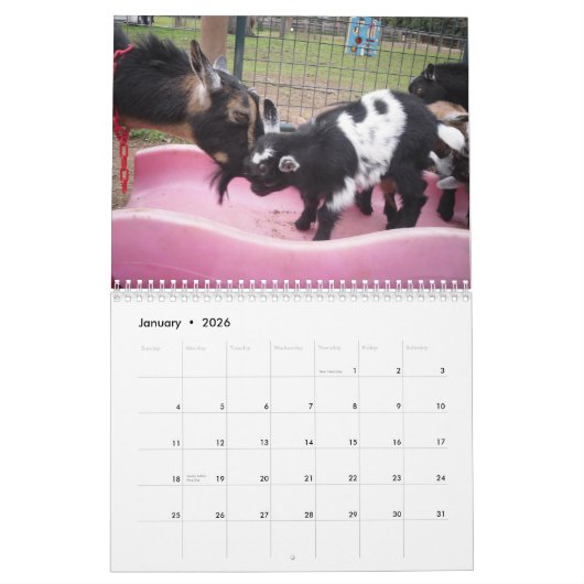 nigeriaanse dwerggeit 2014 kalender (Jan 2026)