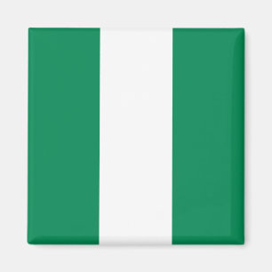 Nigeriaanse vlag magneet