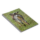 Nigerian Dwarf Dairy Goat Kind Notitieboek (Rechterzijde)