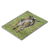 Nigerian Dwarf Dairy Goat Kind Notitieboek (Linkerzijde)